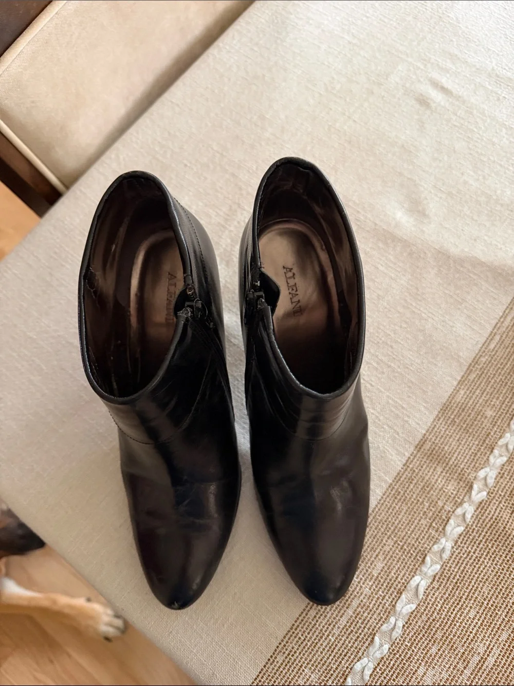 Alfani stylish black